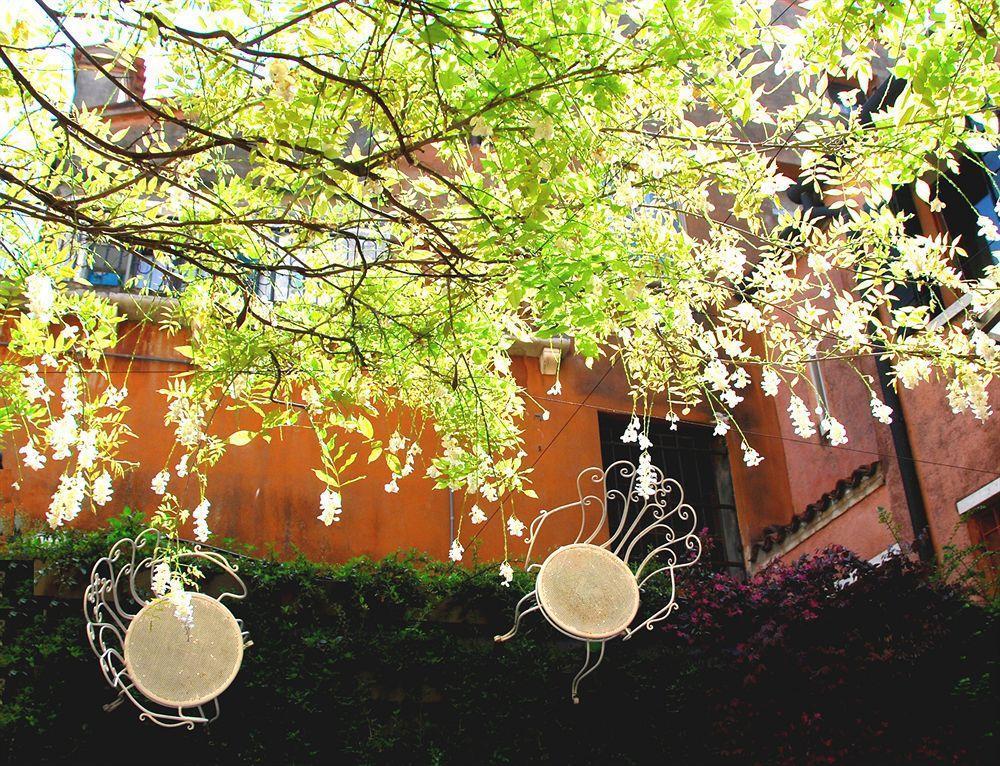 Guest house Avogaria 5 3*
